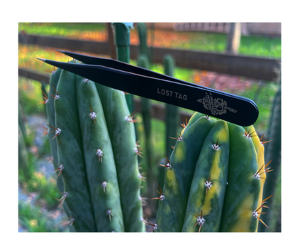 Precision Cactus Spine Removal Tweezers