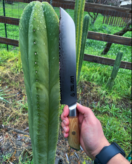 "Pheno 1" 8.5" bread knife